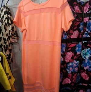 Nwot Boutique+ neon coral mesh dress size 3x